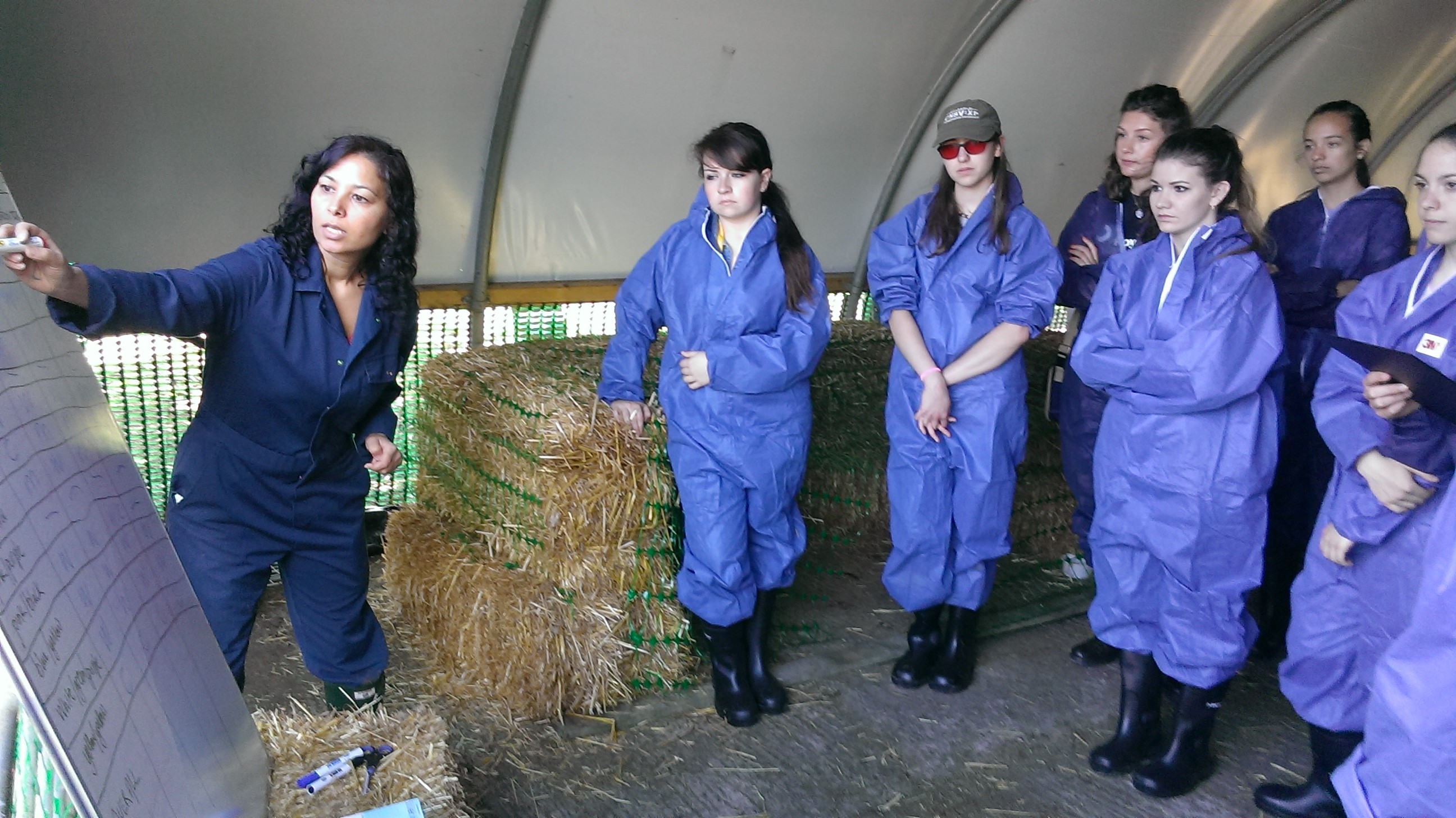 Summer school students being taught on Bolton Park Farm
