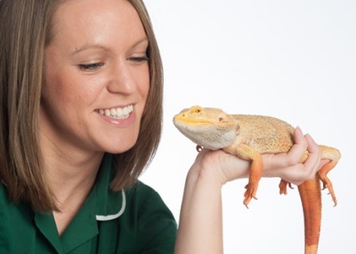 lizard held by nurse