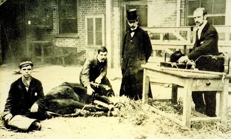 Four men gathered around a horse about to use X-ray equipment