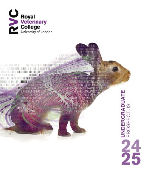 front cover of the Undergraduate Prospectus 2024-2025