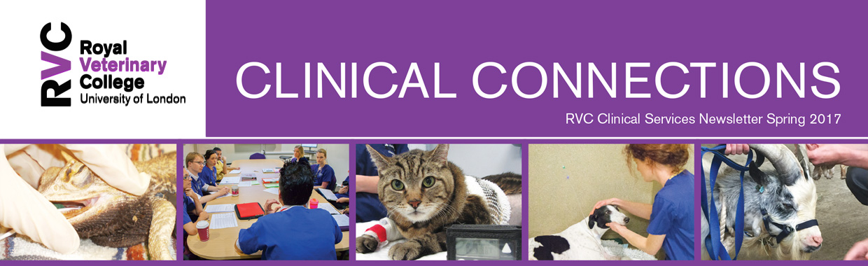 Clinical Connections -Spring 2017