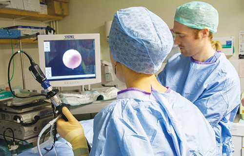 Cystoscopic examination of a ureter