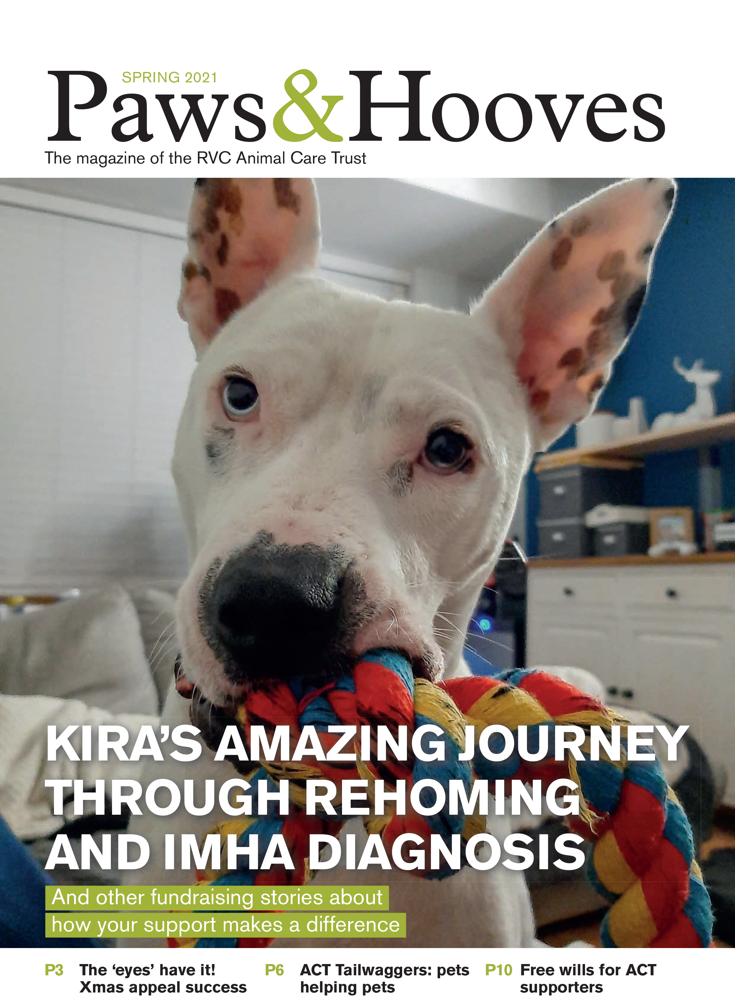 The Spring 2021 edition of our newsletter, Paws & Hooves, is out now! - Animal  Care Trust - Royal Veterinary College, RVC