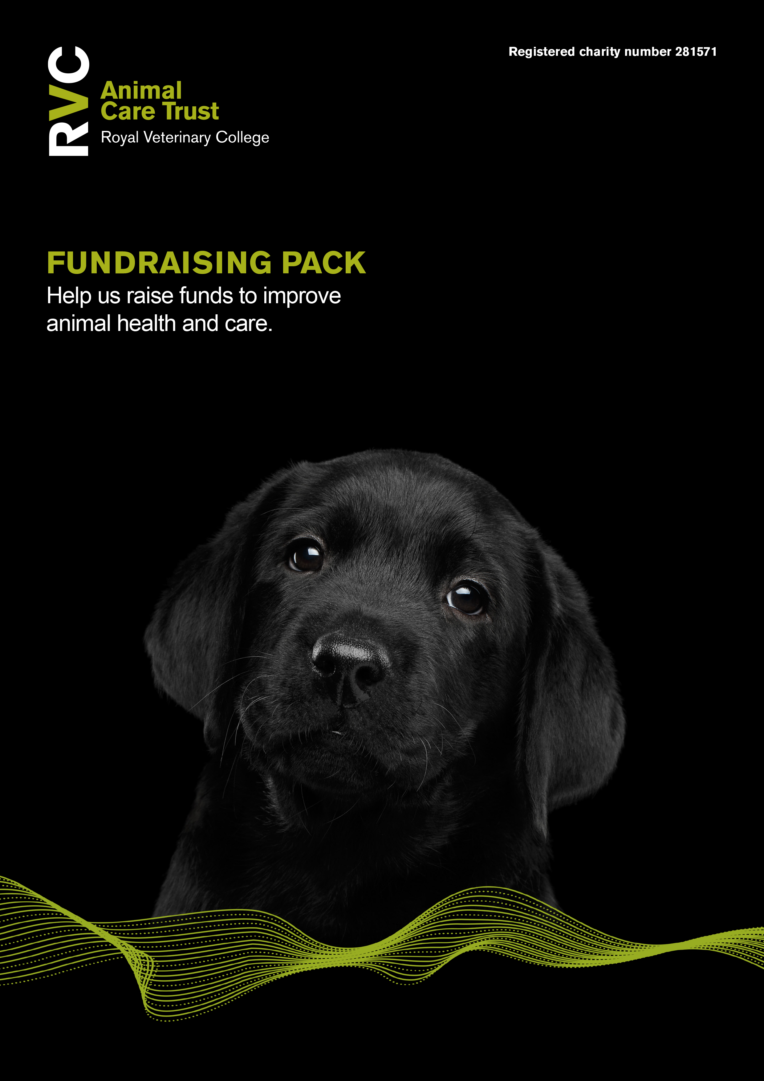 Fundraising resources - Fundraising - Support us - Animal Care Trust -  Royal Veterinary College, RVC