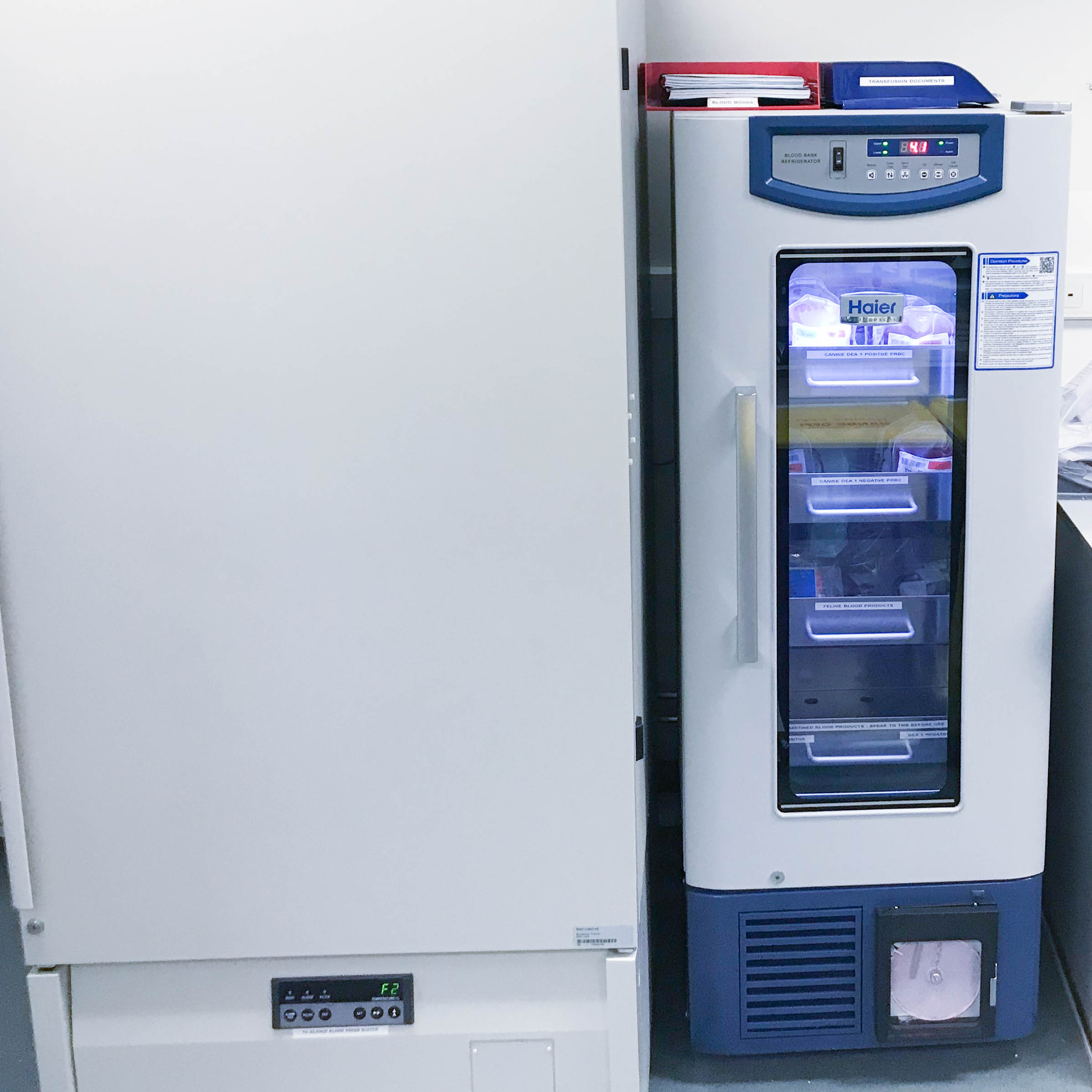 New blood fridge at the Queen Mother Hospital for Animals