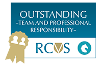 RCVS Outstanding Team and Professional Responsibility