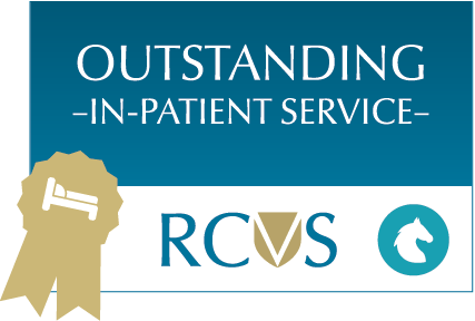 Assessed as Outstanding for In-patient Service