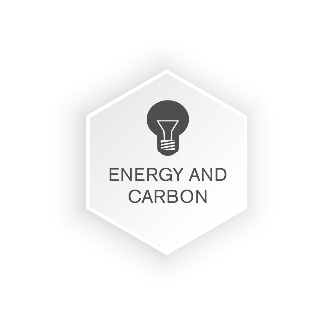 Energy and Carbon