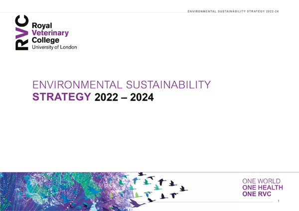 front cover of the Environmental Sustainability Strategy 2022-2024