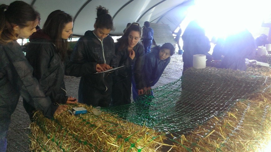 Summer school students collecting data on farm