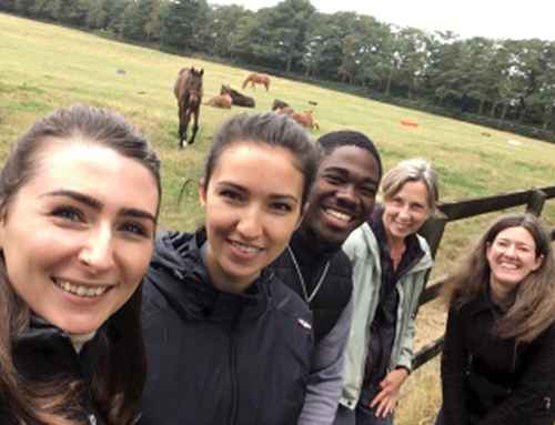 Pictured:  Aline Bouquet, Ambre Jacquart, Emmanuel Oloyede-Oyeyemi, Prof. Christine Nicol, Dr. María Díez-León; back: group of Thoroughbred foals and mares at The National Stud.