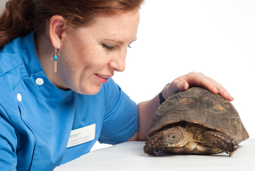 Nadine Stapleton with a tortoise