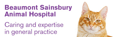 Small Animal General Practice (Beaumont Sainsbury Animal Hospital)