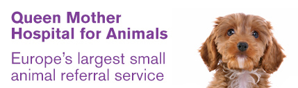 Small Animal Specialist Referral Hospital (Queen Mother Hospital for Animals)