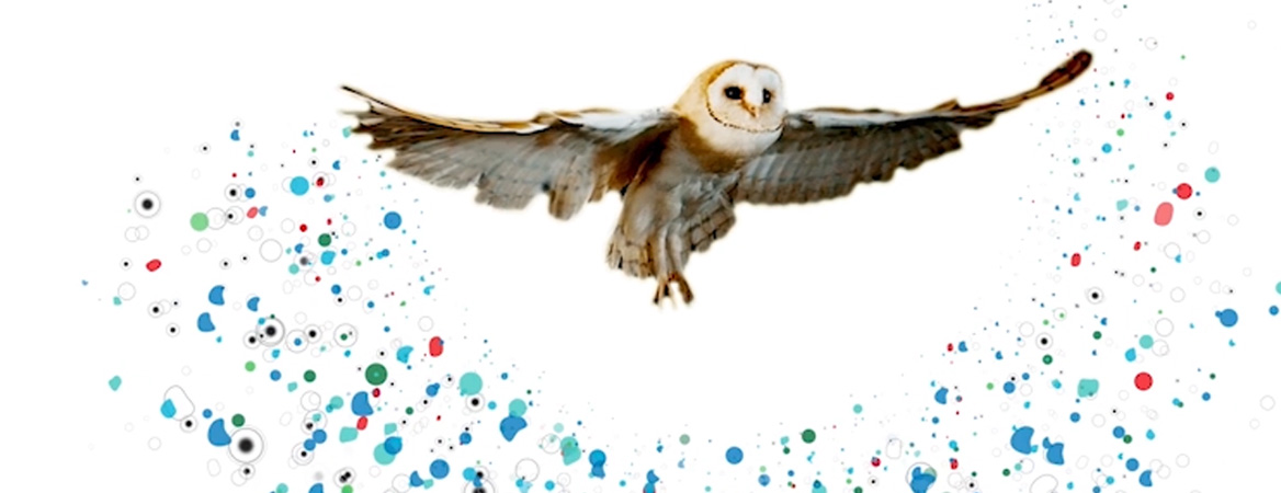 Royal Veterinary College, RVC