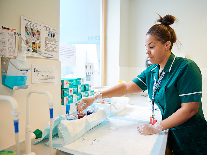 Veterinary nurse in the lab