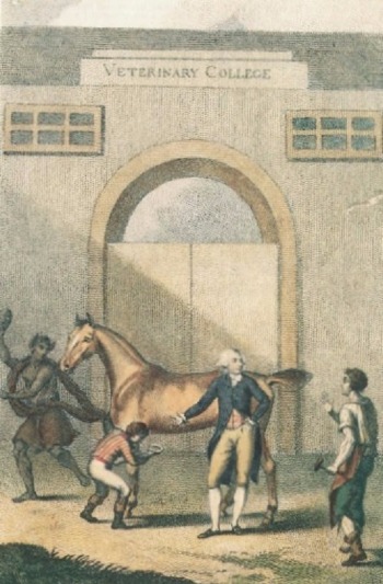 Picture shows men demonstrating a shoeing-smith, with a figure representing ignorance exiting the picture