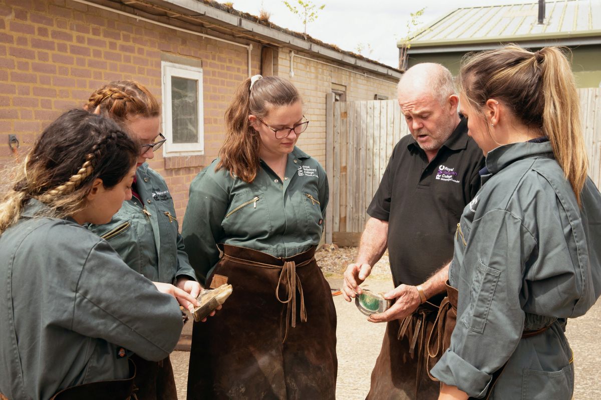 RVC Farrier teaching vet students