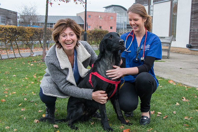 dog with owner and vet outside RVC hospital