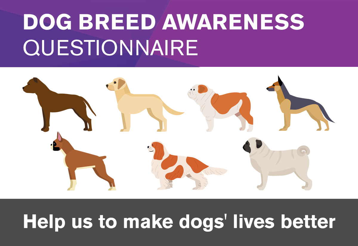 Dog Breed Awareness Questionnaire