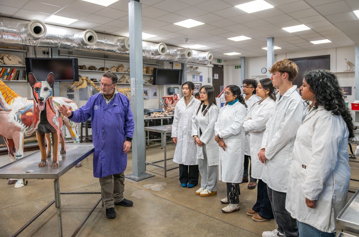 students in a lecture theatre