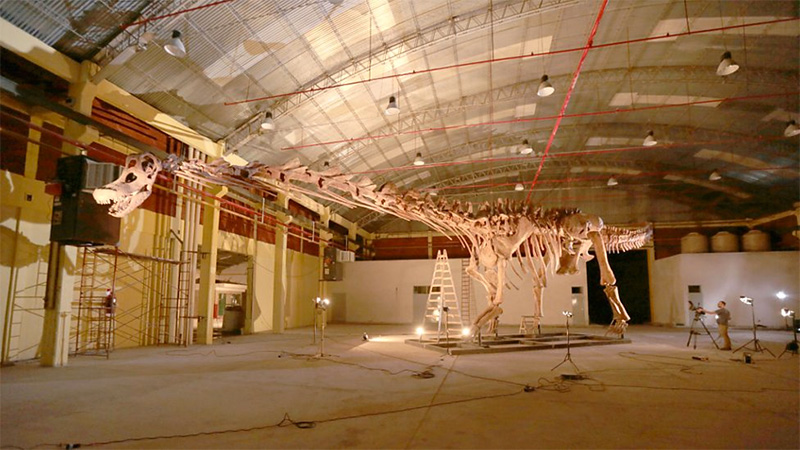 model skeleton of titanosaur