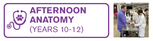 Afternoon Anatomy (Years 10-12)