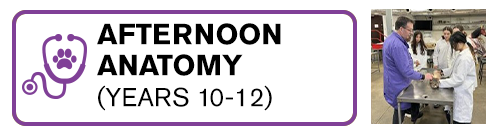 Afternoon Anatomy (Years 10-12)