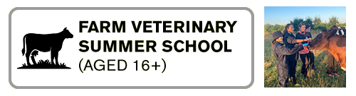 Farm Vet Summer School