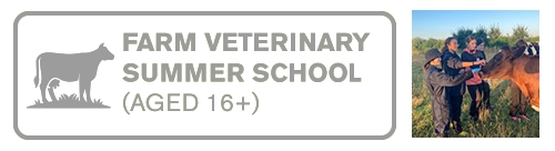 Farm Vet Summer School
