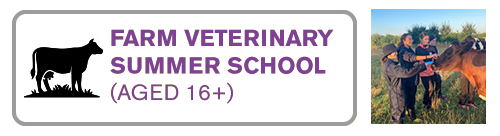 Farm Vet Summer School