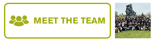 Meet the Team