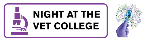 Night at the Vet College