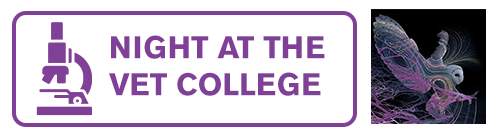 Night at the Vet College