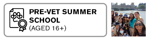 Pre-Vet Summer School