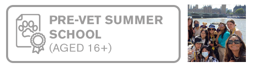 Pre-Vet Summer School