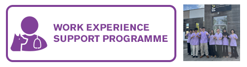 Work Experience Student Programme