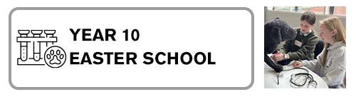 Year 10 Vacation School