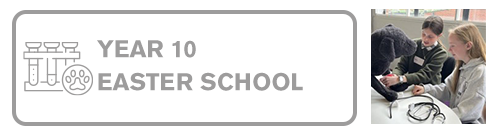 Year 10 Vacation School