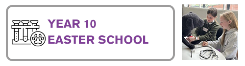 Year 10 Vacation School