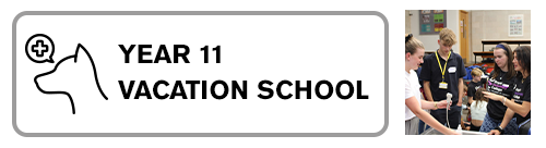 Year 11 Vacation School