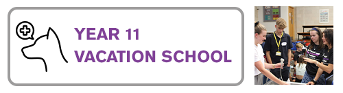 Year 11 Vacation School