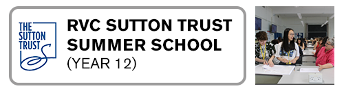 Sutton Trust Summer School