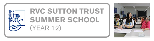 Sutton Trust Summer School
