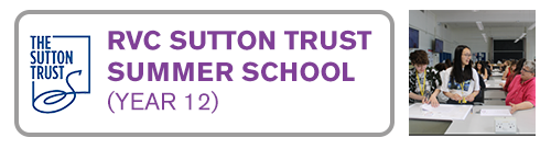 Sutton Trust Summer School