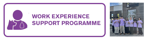Work Experience Student Programme