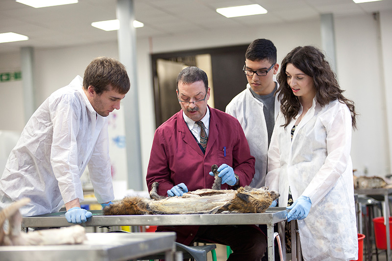 RVC students in the College's dissection lab
