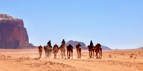 Bedouin camel caravan in Jordanian desert
