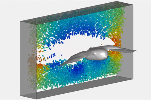 Animation of particles tracked at 700 frames per second, displayed at 30fps for Barn Owl, Tawny Owl and Goshawk