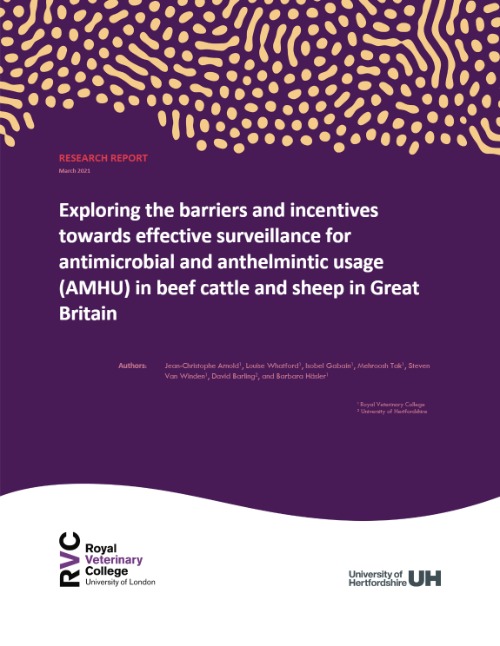 Cover page of the final research report